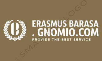 erasmusbarasa.learning management system com